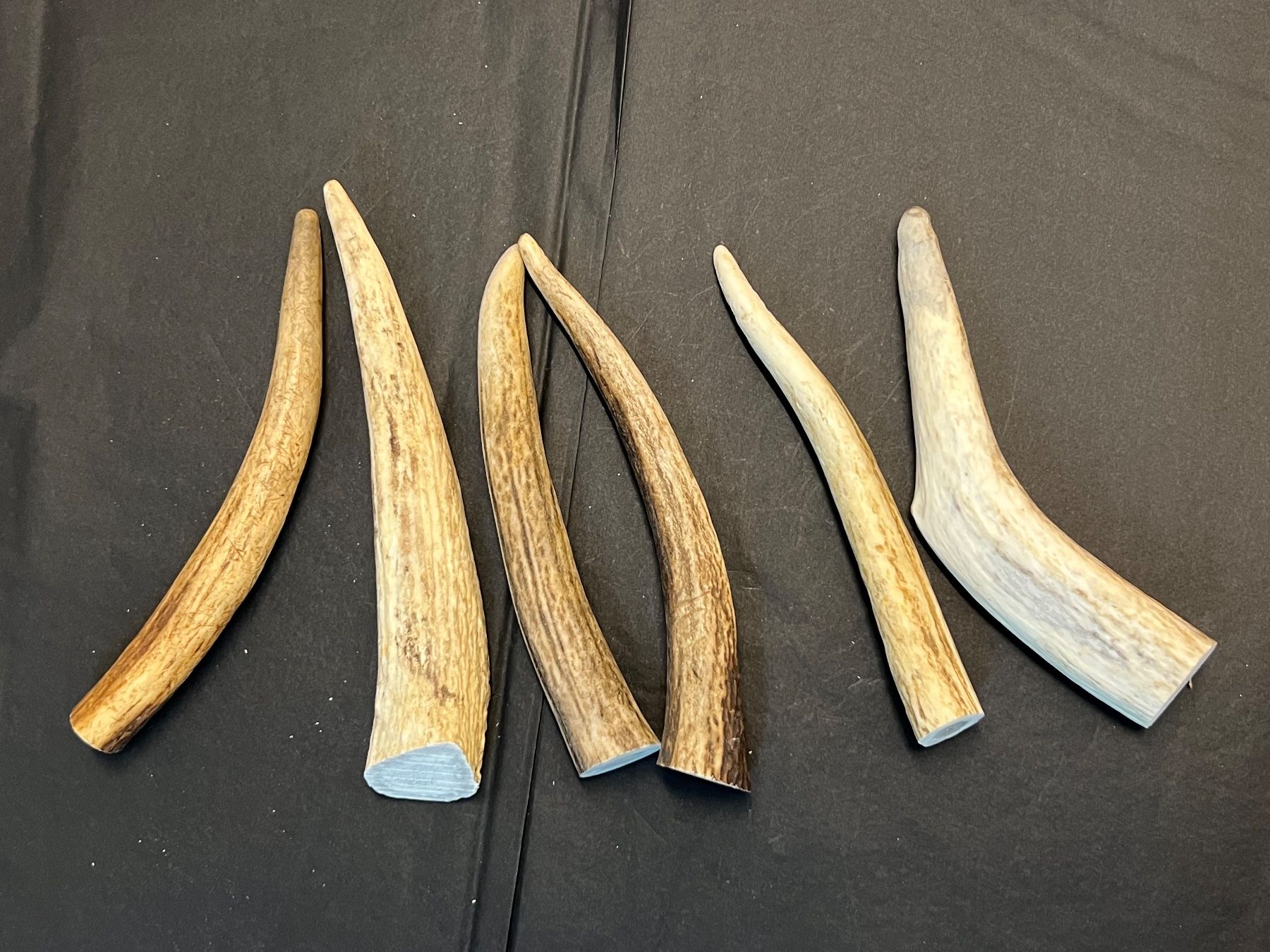 Kit bricolage: Hirsch Geweih Horn Hirschgeweih Spitzen 16-20cm – Usato da Vaduz venduto da hirschjager 1