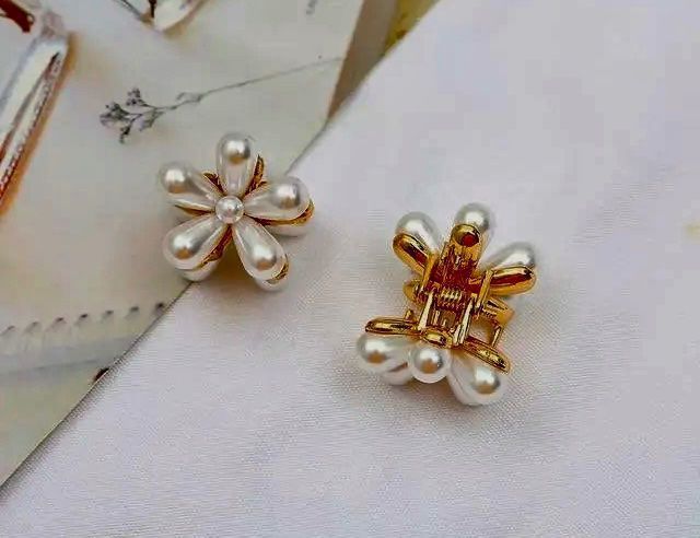 Haarschmuck: Haarspange 2 Stück NEU!!! – Neu und originalverpackt aus Bellinzona von ModaLugano 2