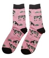 Socken Kühe/Kuh/Cows/Bauernhof