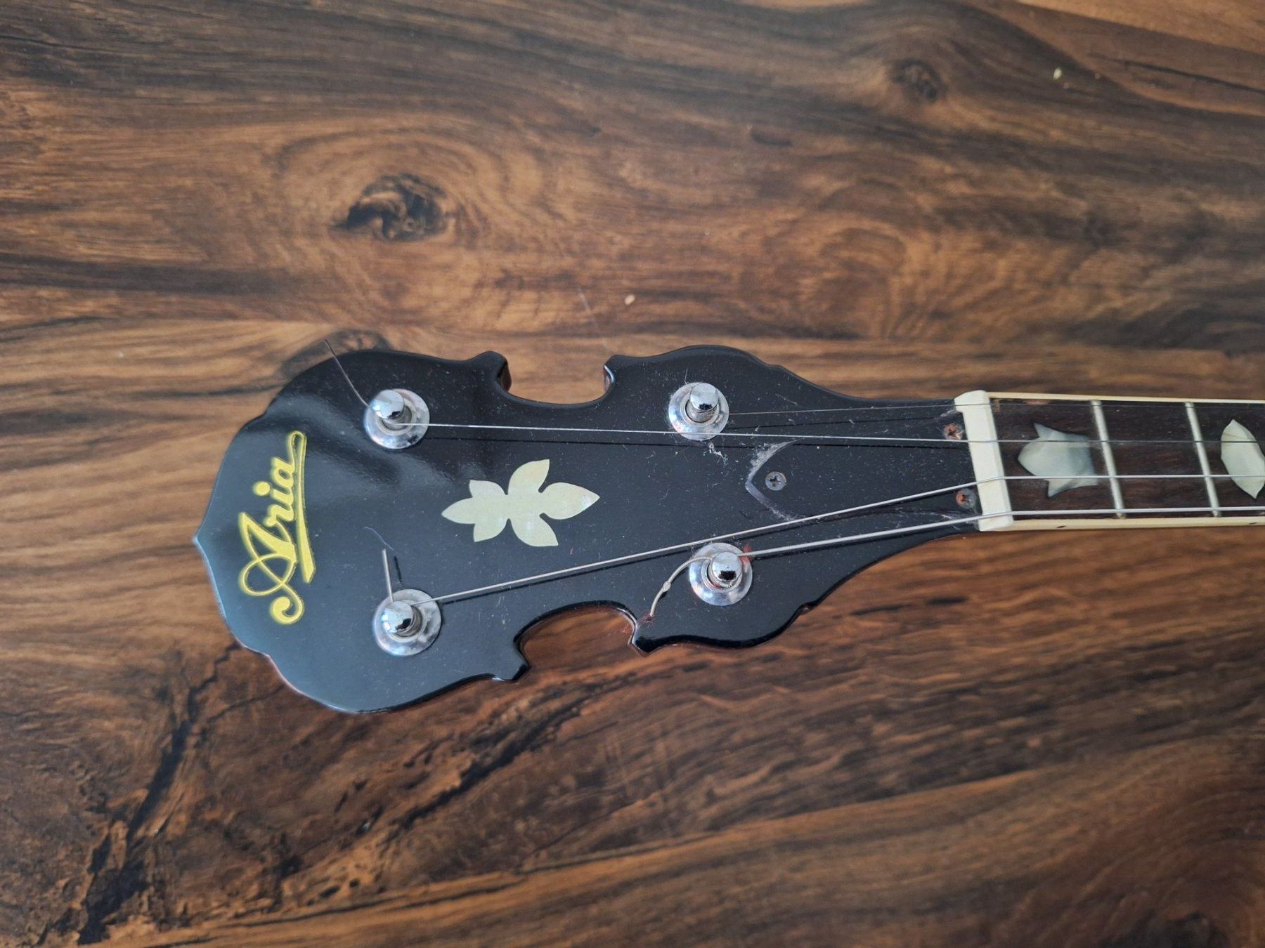 Aria Strumenti musicali: Banjo Aria – Usato da Laupersdorf venduto da walmeister62 2