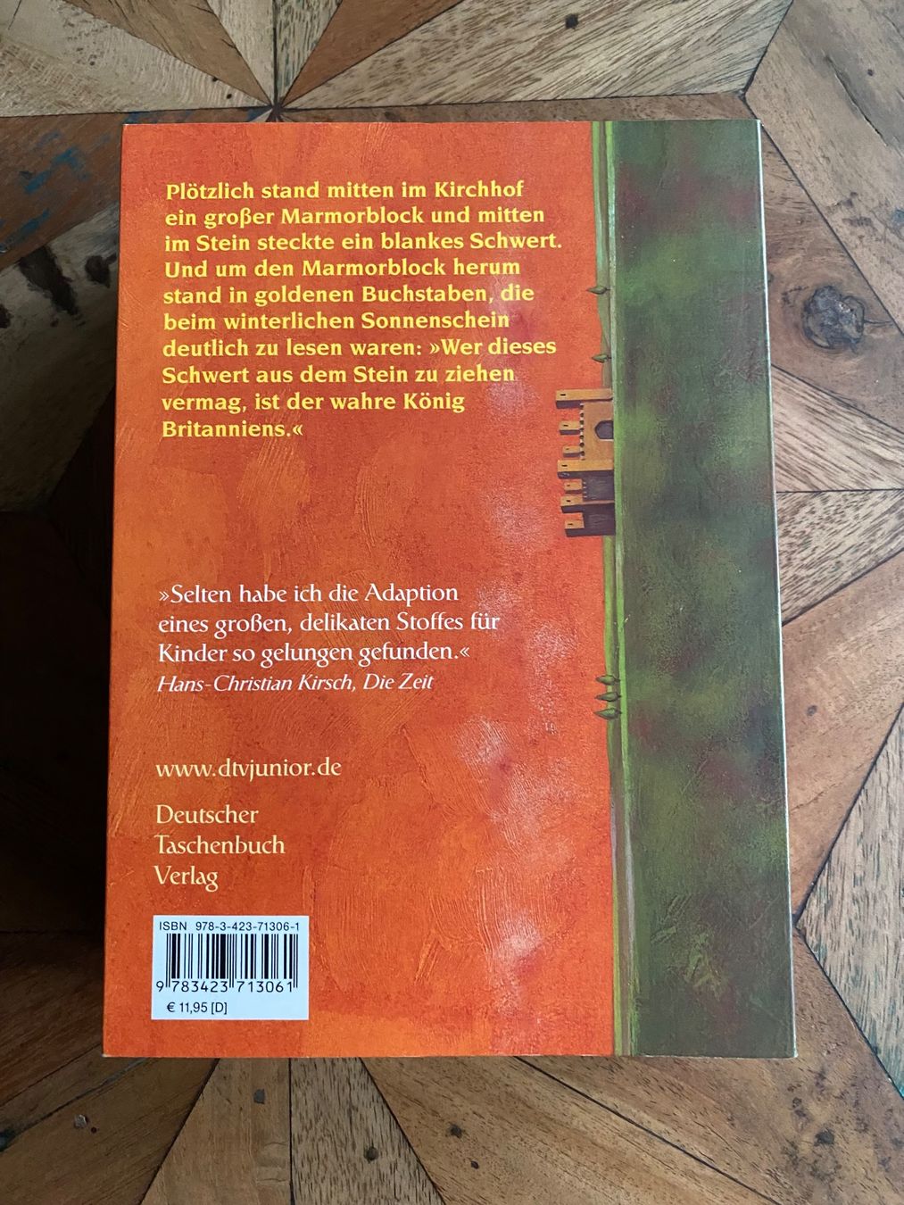Libri: König Artus - Roman dtv junior extra – Usato da Stadel b. Niederglatt venduto da sandart 1