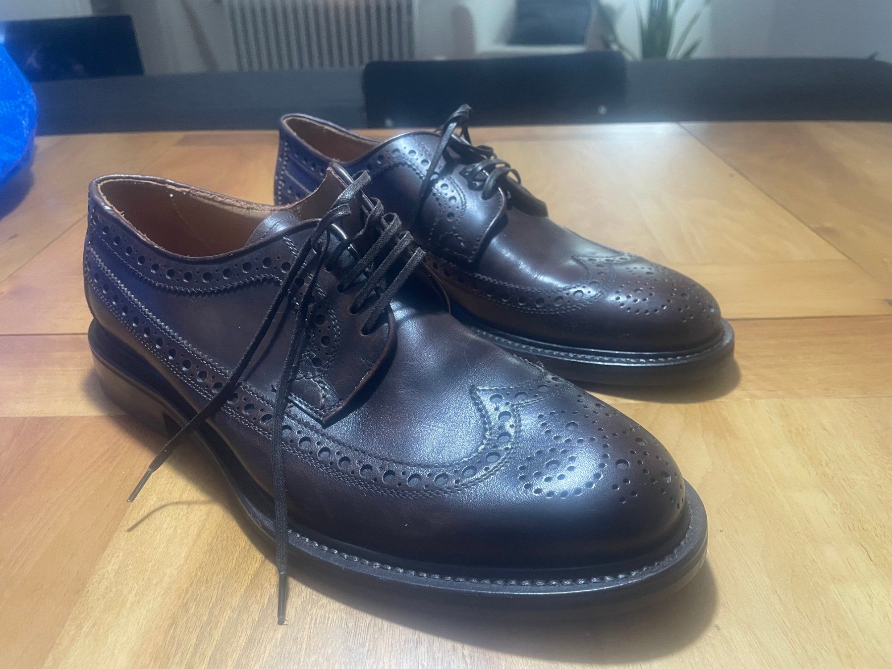 Navyboot Scarpe da uomo: Navyboot Lederschuhe Gr. 40 - NEU – Nuovo (secondo la descrizione) da Zürich venduto da Ralph123