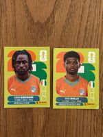 Panini