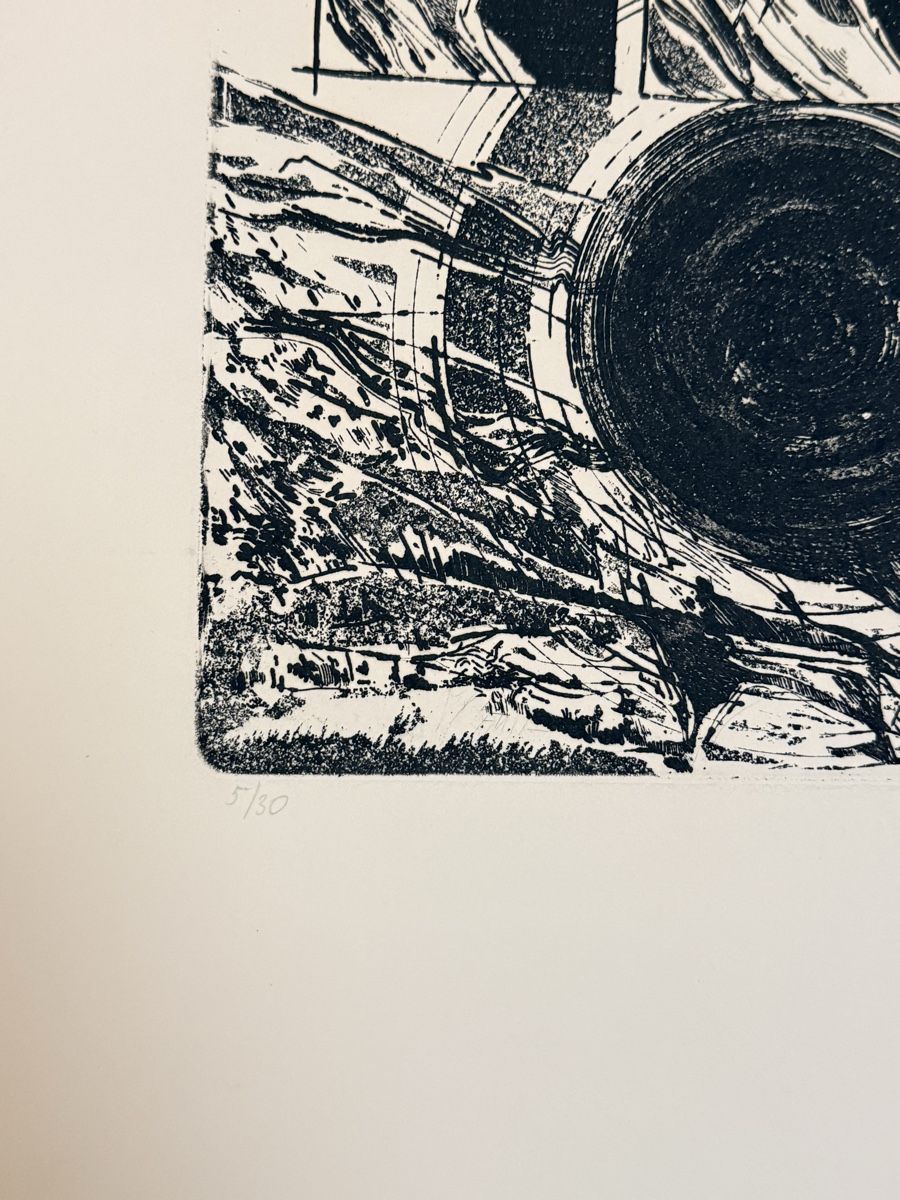 Incisioni: Radierung - 50x35cm – Usato da Solothurn venduto da NUVICO 3