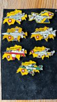 Pins Schweizer Luftwaffe