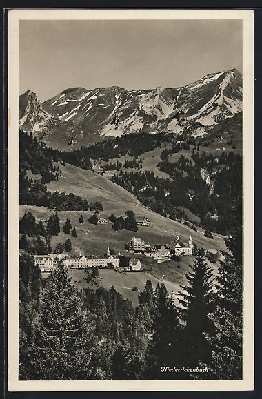 Cartoline postali: Niederrickenbach, Ortsansicht gegen das  – Usato da Berlin venduto da bartko-reher