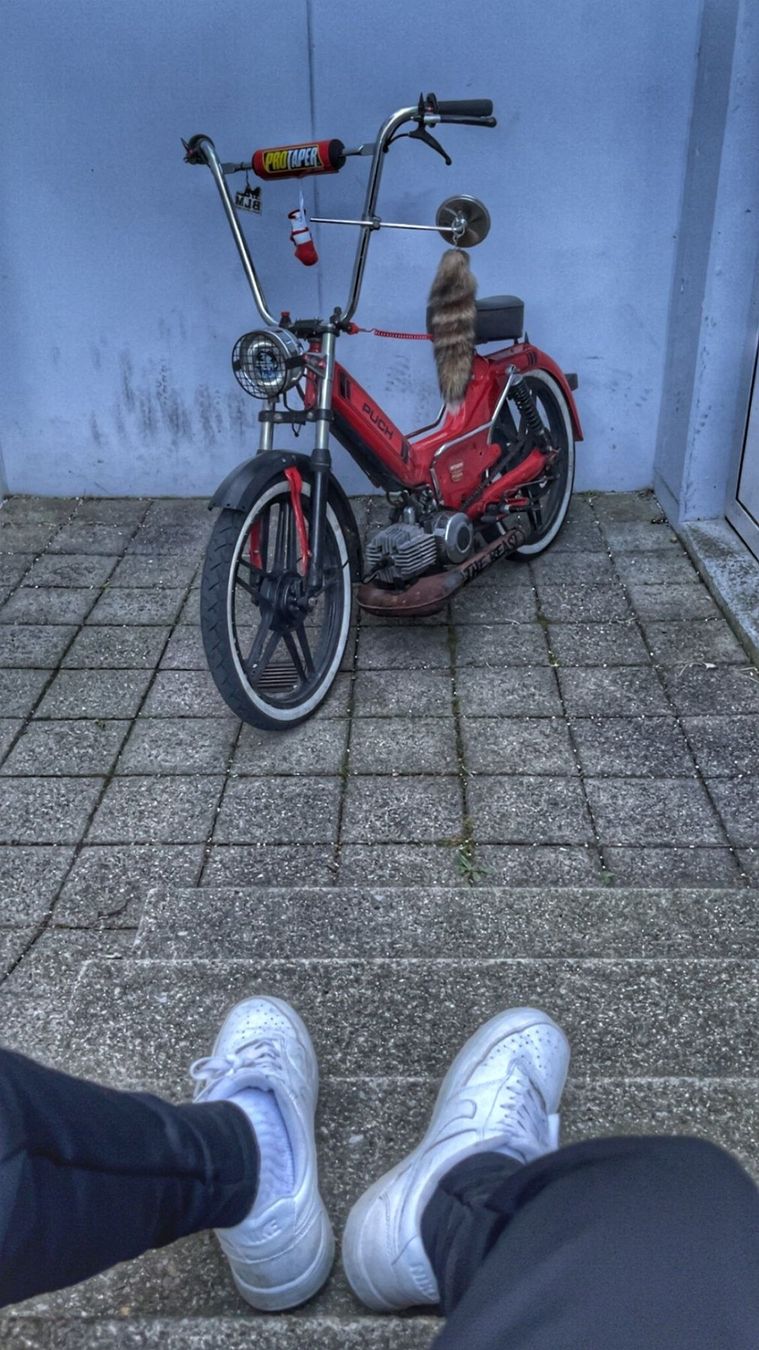 Puch Mofas: Puch Maxi S – Gebraucht aus Kirchberg SG von Schratte