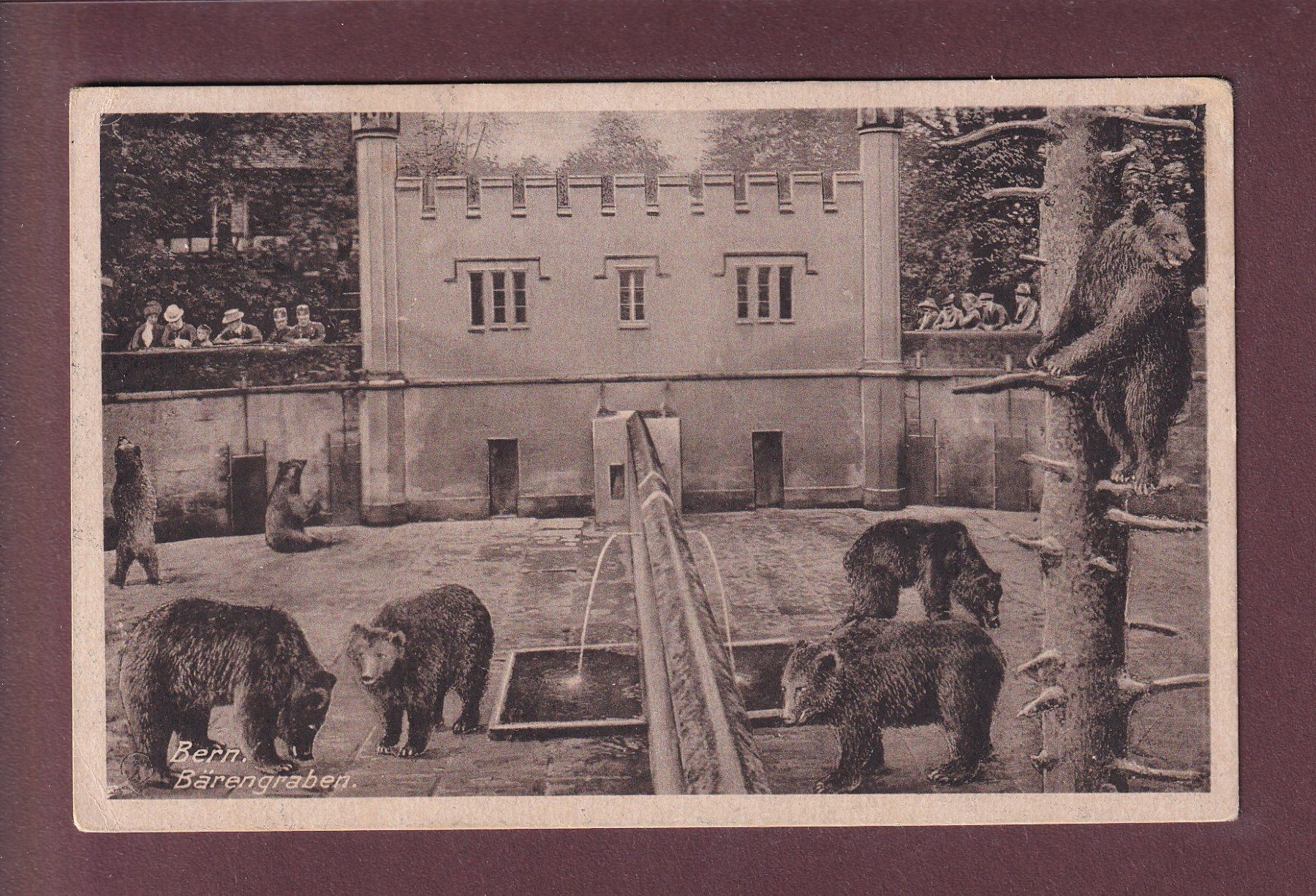 Cartoline postali: BERN - Bärengraben - 1921 – Usato da Pully venduto da nicecards