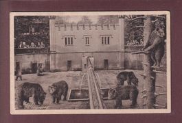 BERN - Bärengraben - 1921
