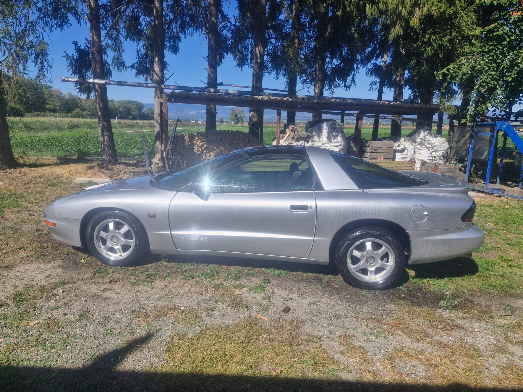 Pontiac Autos: Pontiac Firebird – Gebraucht aus Galmiz von sam_tdb7 3