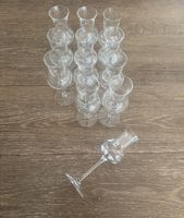 12 edle Schnapsgläser aus Glas 