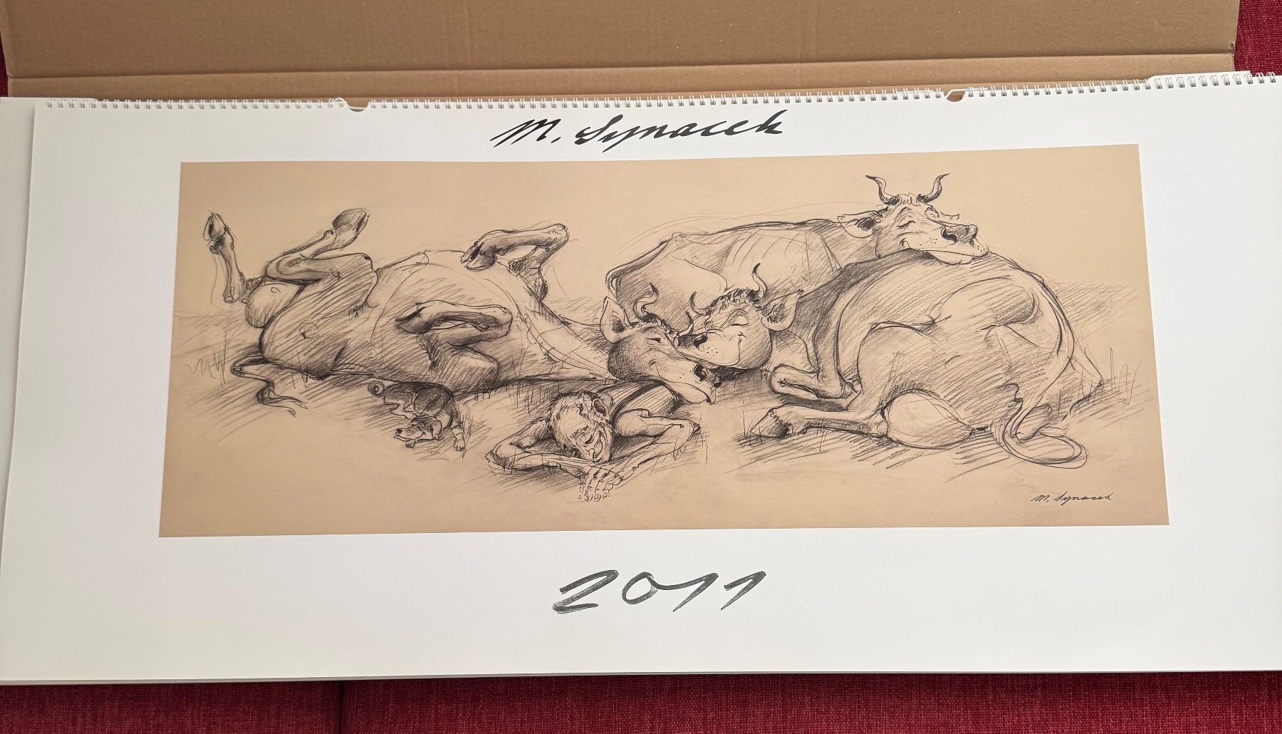 Kalender: Kalender Martin Synacek 2011 Appenzell – Gebraucht aus Riehen von ekc_ymy2
