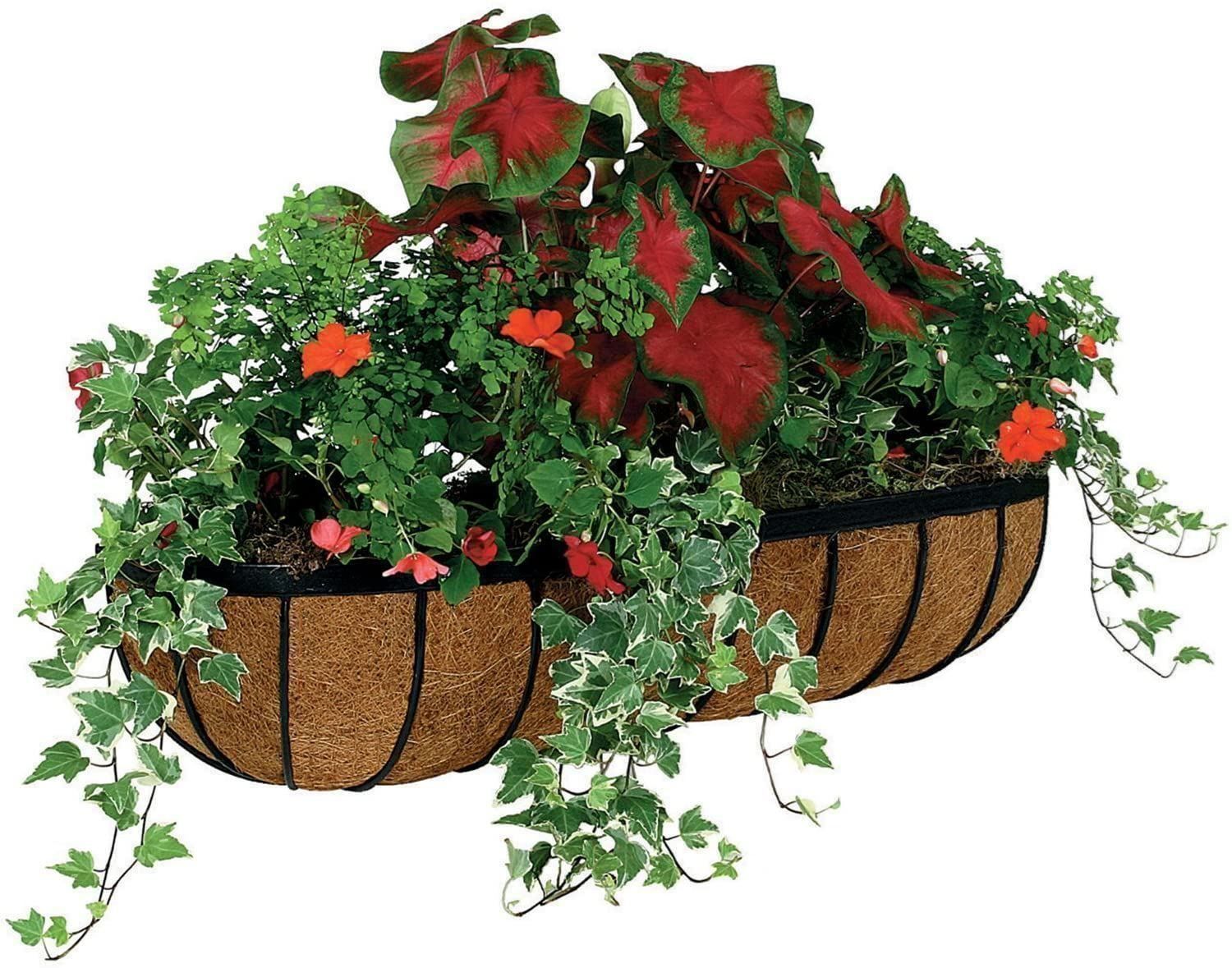 Vasi per fiori: Gardman Georgian Blumentopf  Pflanztopf – Nuovo e nell'imballaggio originale da Zuzwil SG venduto da Cali67 1