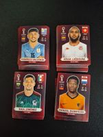 Panini WM 2022 Oryx Edition fehlende Bilder