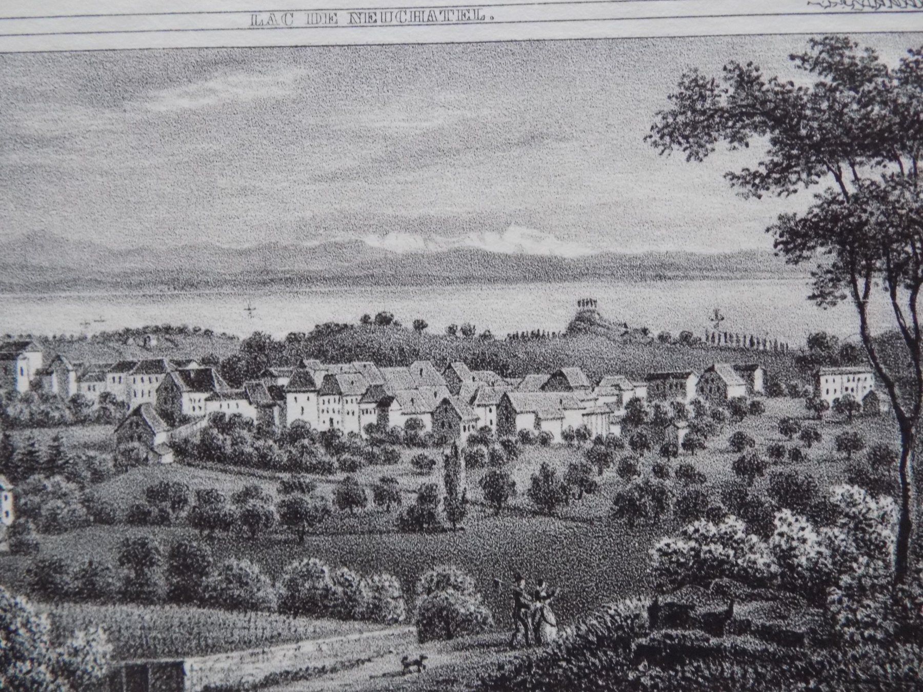 Incisioni: Colombier Lithographie um 1855 – Usato da Risch venduto da Antikfee 7