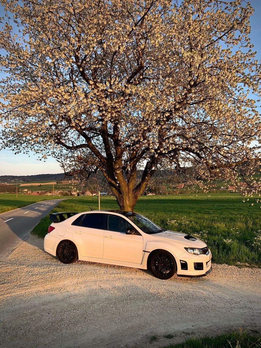 Subaru Autos: Subaru WRX STI – Gebraucht aus Dieterswil von Marc.Zingg 3