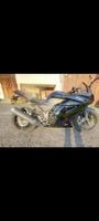 Kawasaki Ninja 250R