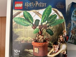 LEGO Harry Potter Hogwarts Carriage 76400 neu