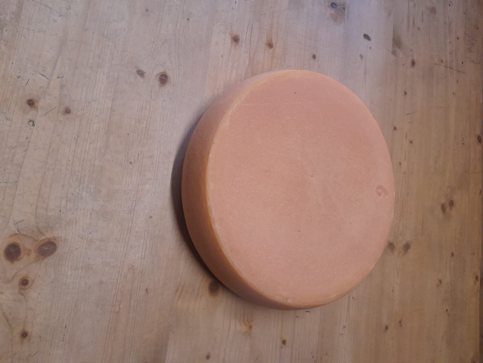 Cibi & Specialità: Alpkäse – Nuovo e nell'imballaggio originale da Willerzell venduto da januka 3