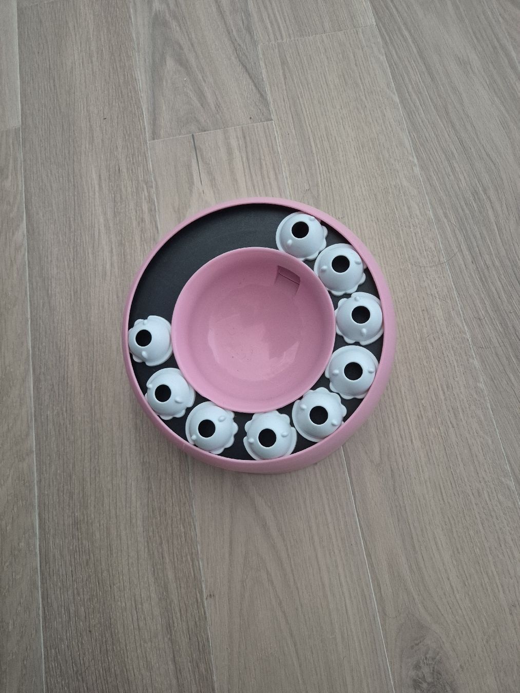 Giocattoli: Katzen spielzeug – Usato da Winterthur venduto da Arcticwolf55 2