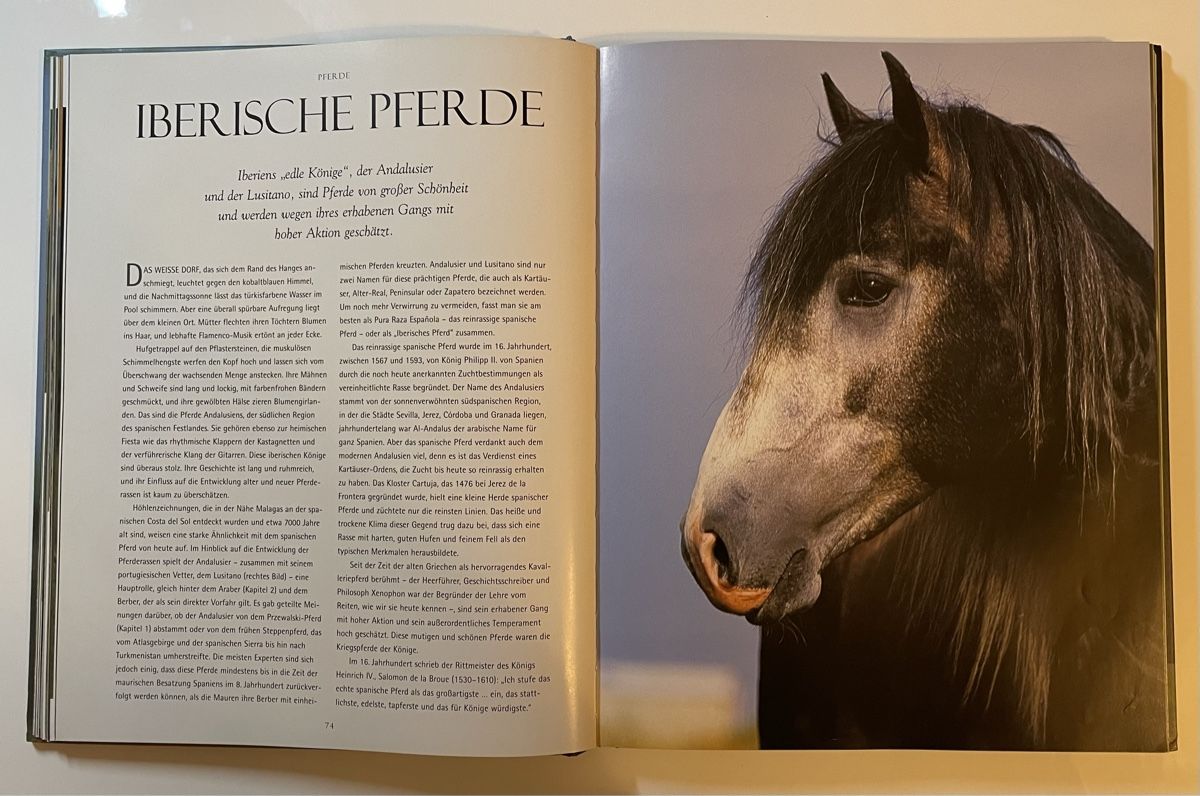 Libri: Buch Pferde - Schönes Bilderbuch – Nuovo (secondo la descrizione) da Luzern venduto da Collie_Bel 2