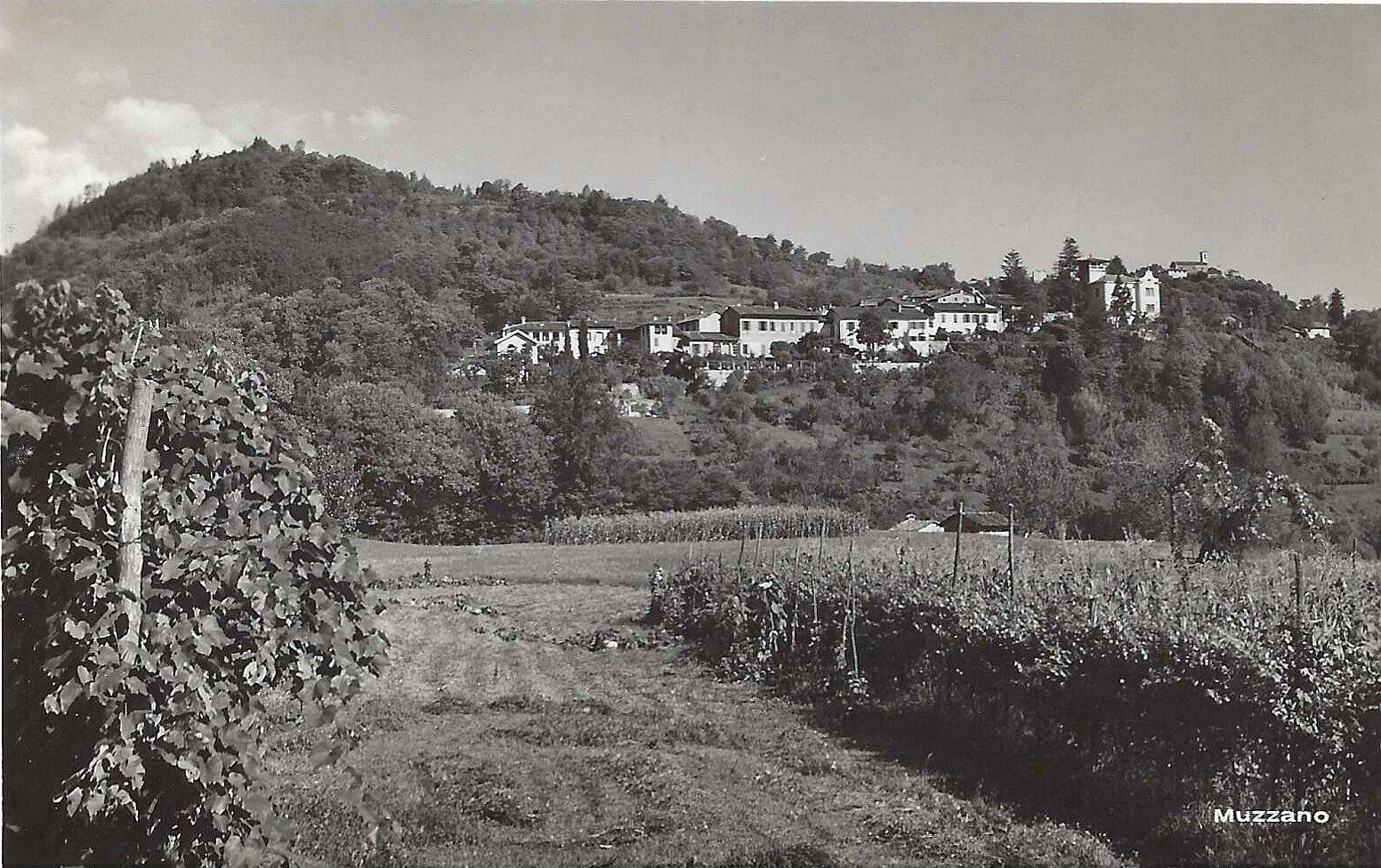 Cartoline postali: Muzzano – Usato da Buchs AG venduto da Baerfisch