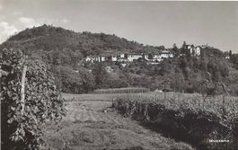 Muzzano