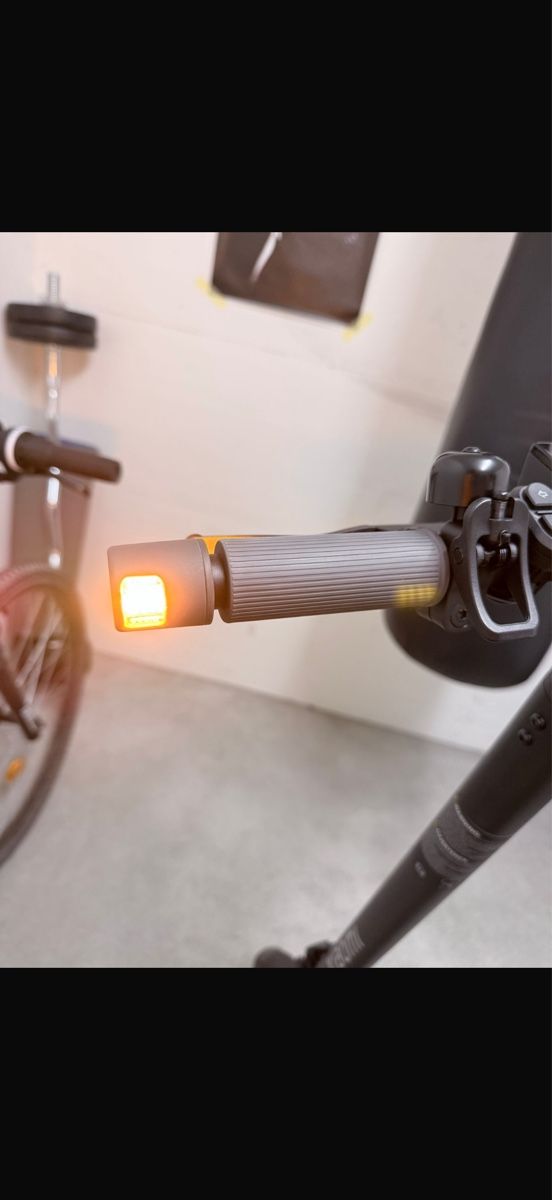 Scooter: E-Scooter mit Blinkerfunktion – Usato da Ennetbürgen venduto da leejlagg 2