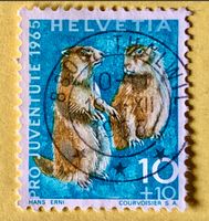 Nr.J 211 GESTEMPELT Alpenmurmeltier 1965 Thalwil