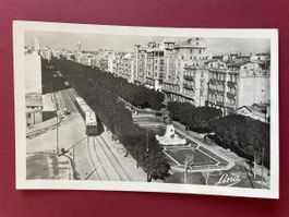 Ansichtskarte Tunis Avenue Jules-Ferry, Bahn, schwarzweiss 