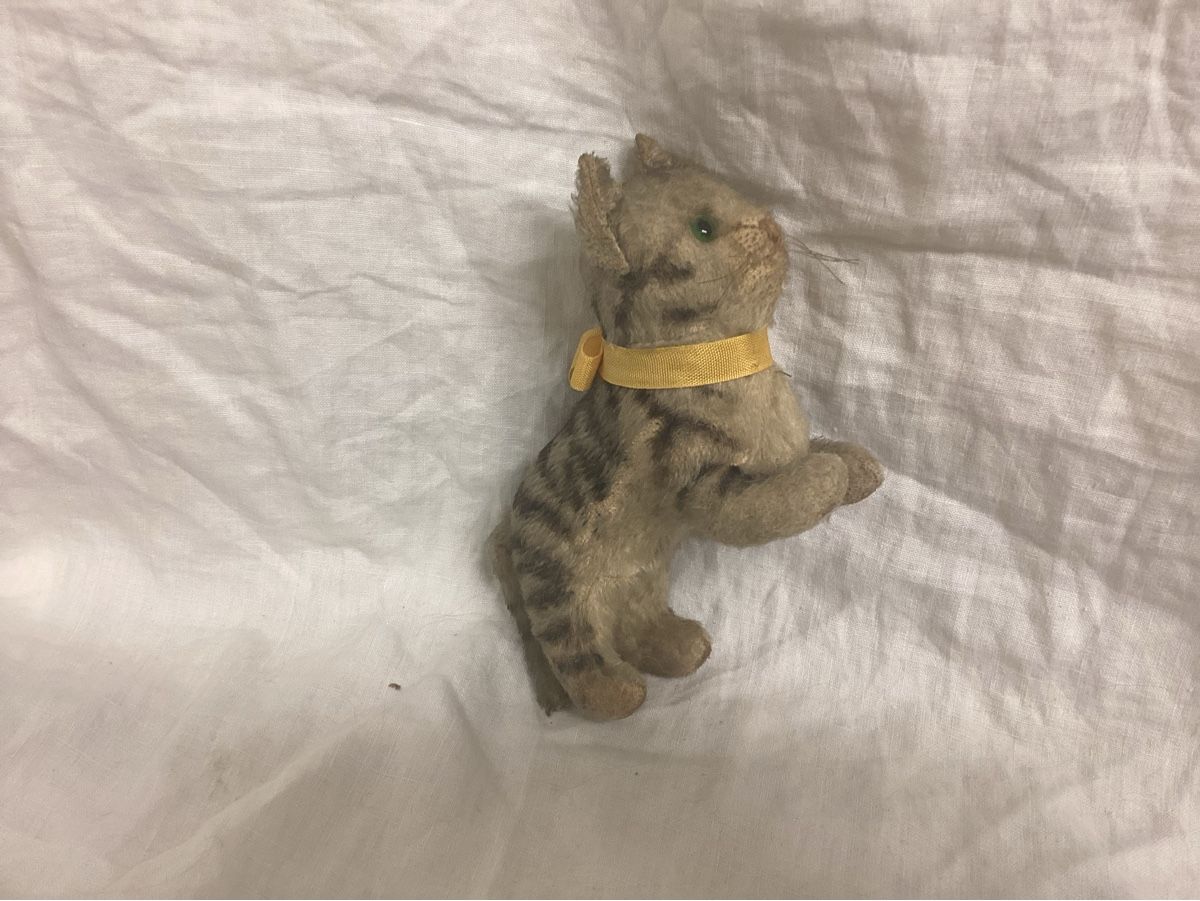 Steiff Giocattoli: ALTE STEIFF KATZE  – Usato da Münchenstein venduto da NoSu98 1