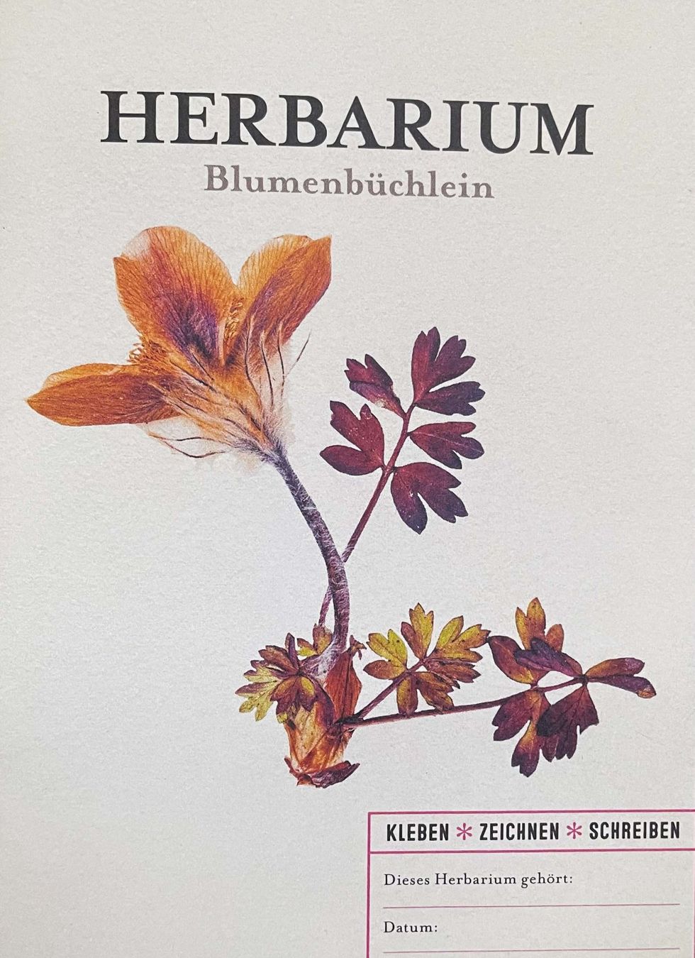 Kit bricolage: Herbarium DIY Flow Magazin – Nuovo (secondo la descrizione) da Zofingen venduto da angito