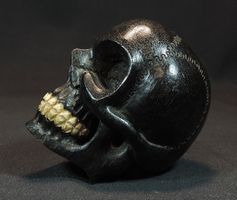 Schädel Figur geschnitzt mit Zähnen, Ebenholz Skulptur