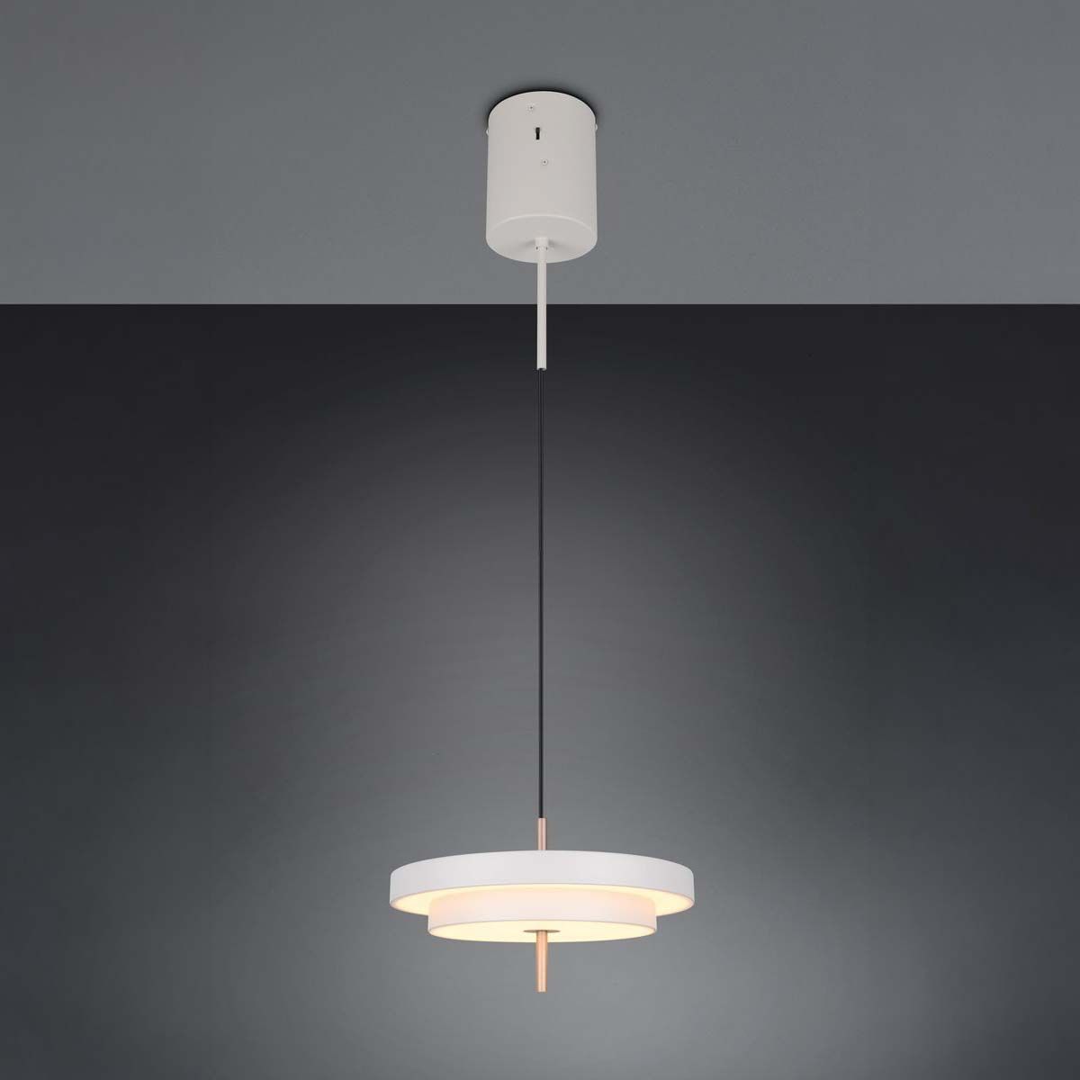 Lampadari & plafoniere: LED Pendelleuchte, Grau, CCT, 40 cm Ø – Nuovo (secondo la descrizione) da Kreuzlingen venduto da Smart-Light 1