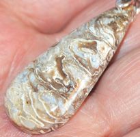 Anhänger L-4479 – Australischer Erdnuss Holz Fossil Jaspis