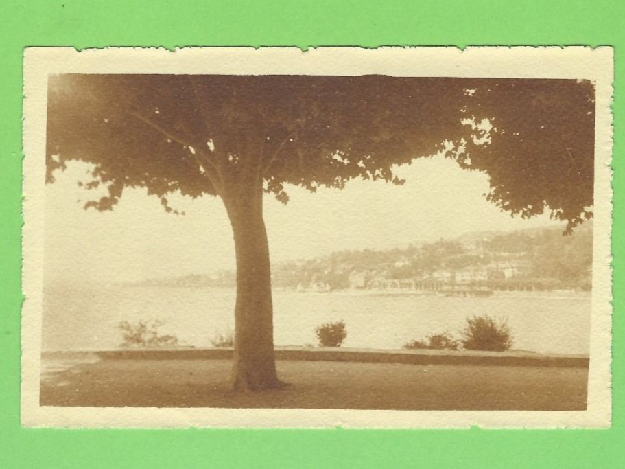 Cartoline postali: Neuchâtel, Vue de l' Evole – Nuovo (secondo la descrizione) da Zürich venduto da t24_de