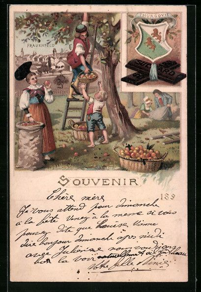 Cartoline postali: Litho Frauenfeld, Ortsansicht hinter Apf – Usato da Berlin venduto da bartko-reher