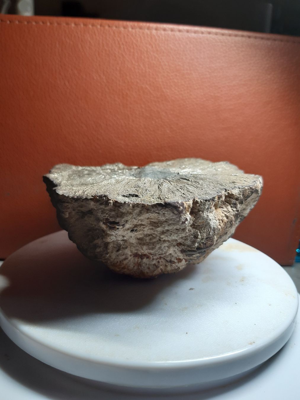 Minerali & Pietre curative: MARCASSITE en nodule 1087gr. – Usato da Genève venduto da dieudedieu 1