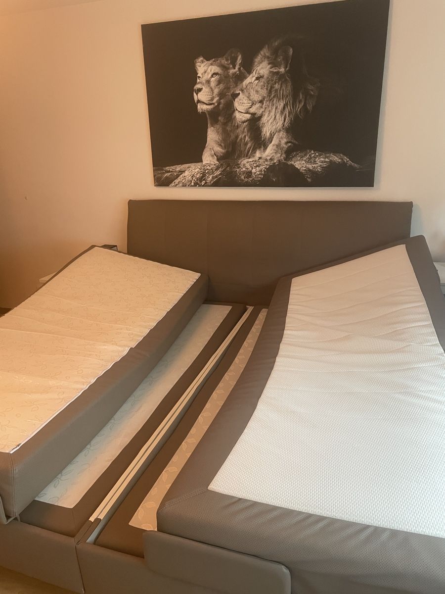 Lits: Boxspringbett elektrisch verstellbar – D'occasion à Schmerikon par Alex.Pal 1