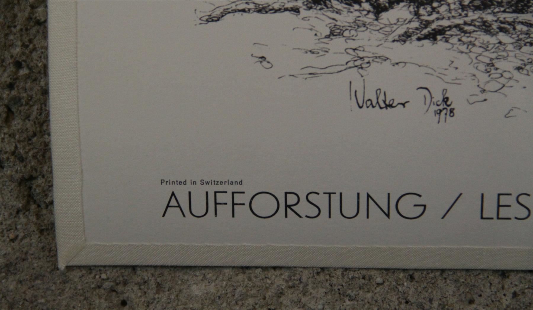 Foto & Immagini: Schulwandbild "Aufforstung" Walter Dick – Usato da Birrwil venduto da brandschatz_birrwil 5