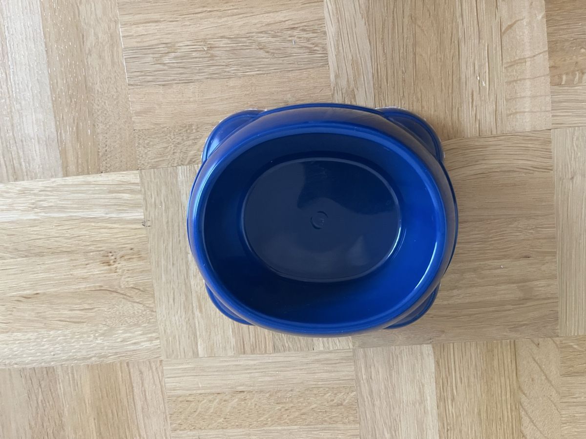 Mangimi: NEU 5 Stk. blaue Katzennäpfe – Nuovo (secondo la descrizione) da Kilchberg ZH venduto da celinaemi 1