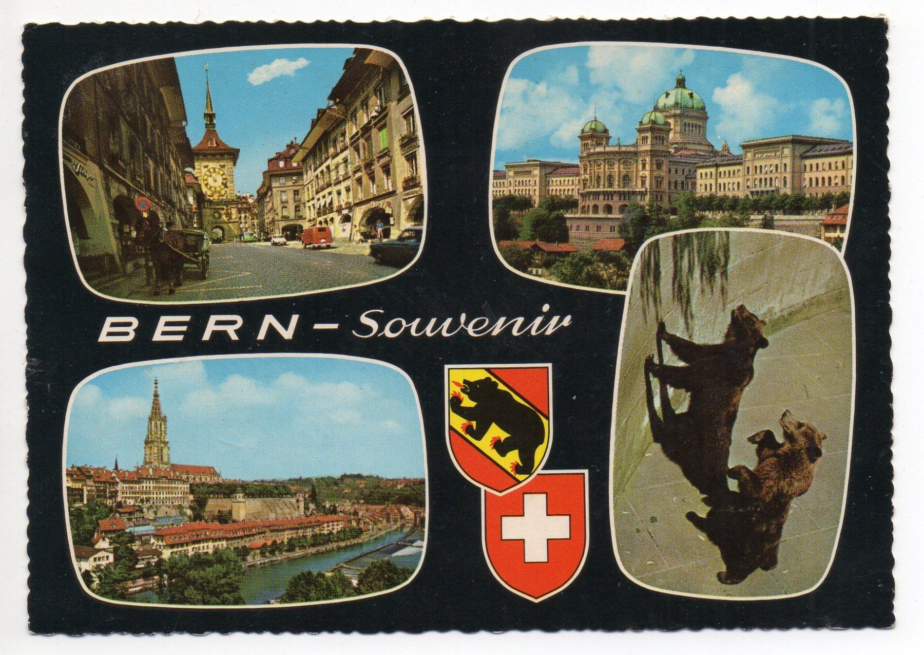 Ansichtskarten: BERN Souvenir - Bären – Gebraucht aus Jona von philajona