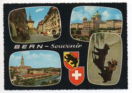 BERN Souvenir - Bären