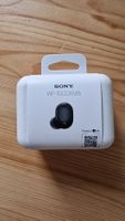 sony wf-1000xm6