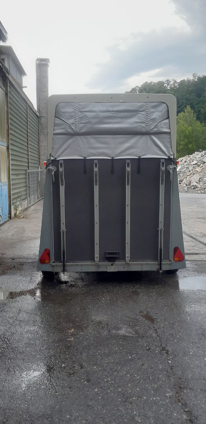 Rimorchi: Pferde / Sachentransportanhänger – Usato da Ermenswil venduto da puma_91 6