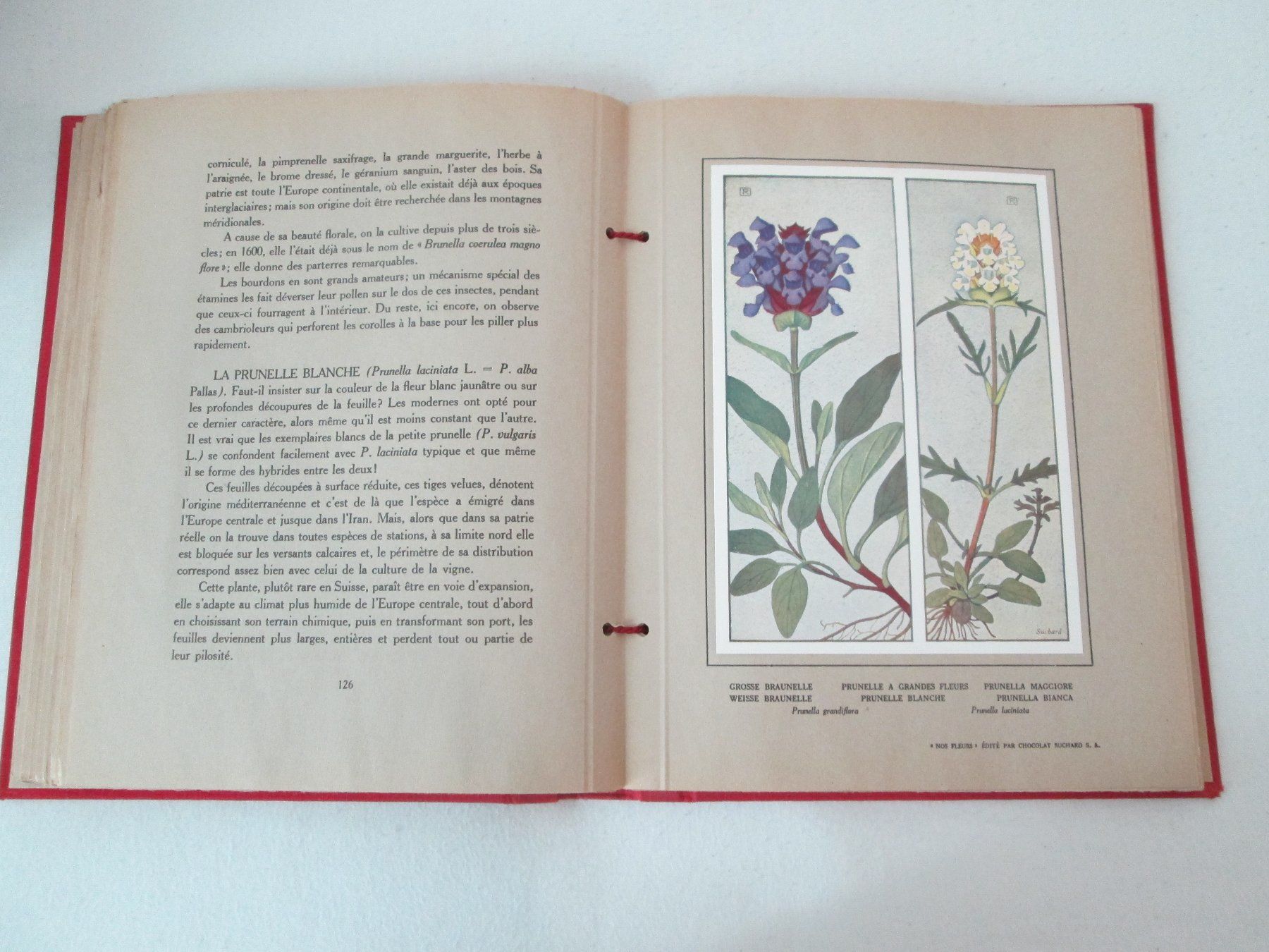 Livres: Nos Fleurs – D'occasion à Neuchâtel par Dualseele 6