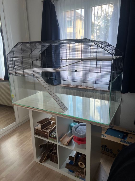 Hamsterkäfig Skyline Figo 120 inkl. Zubehör (Gebraucht) in ...