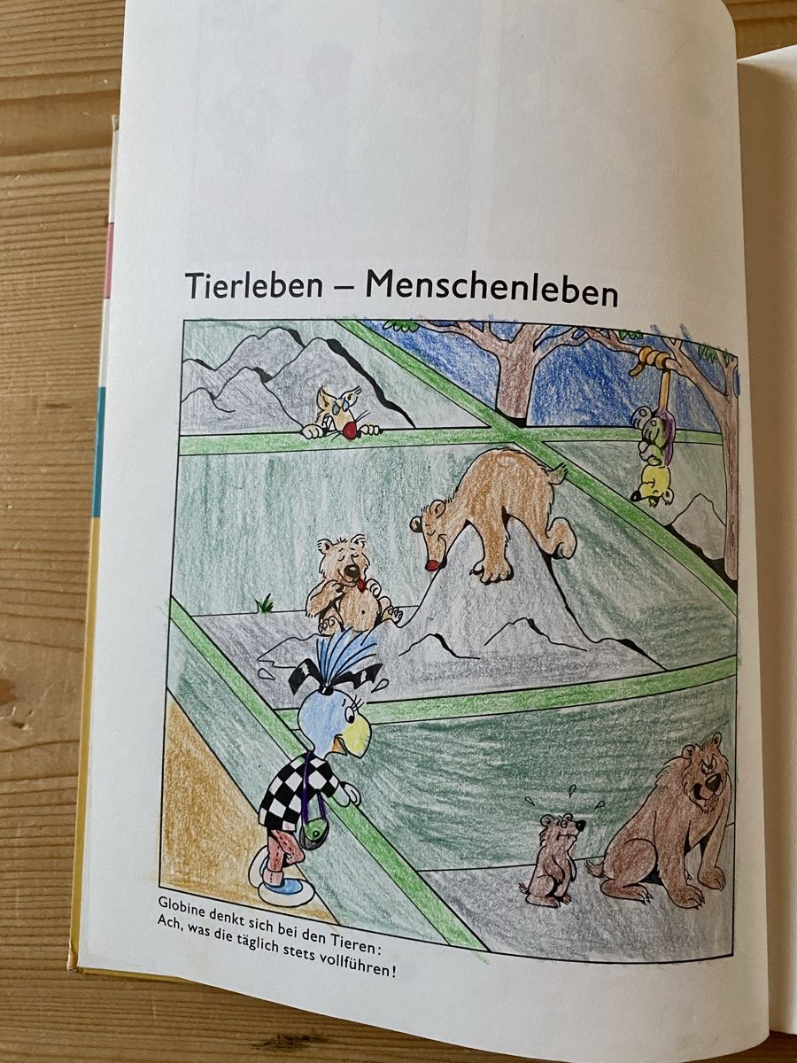 Libri: Globine im Zoo 1990 – Usato da Urnäsch venduto da Triwal 5