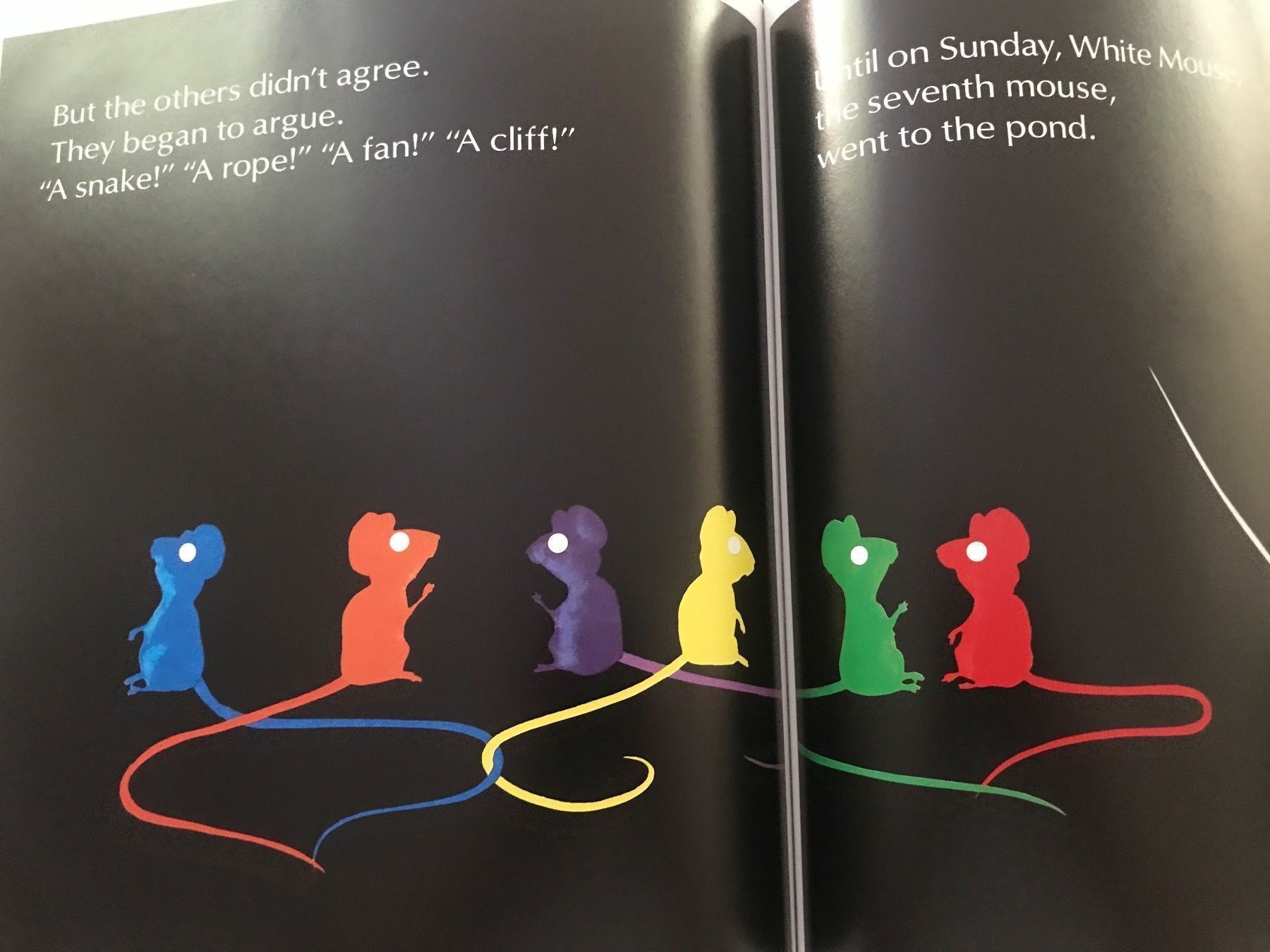 Libri: Seven Blind Mice, Ed Young 1992 Kinder Buch – Usato da Baden venduto da swiss-alps 4