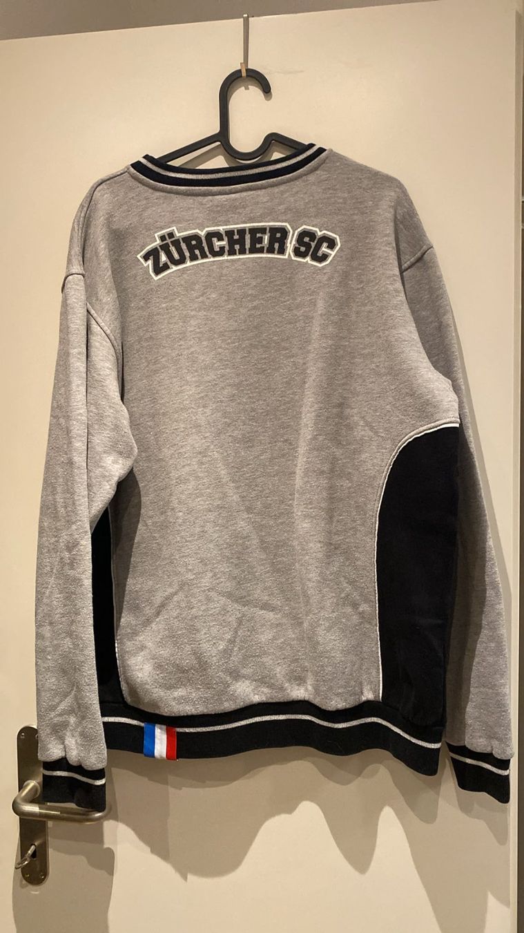 Zsc Lions Pulls & Sweat-shirts: ZSC Lions Pullover Gr. L – D'occasion à Zürich par drummergirl98 1
